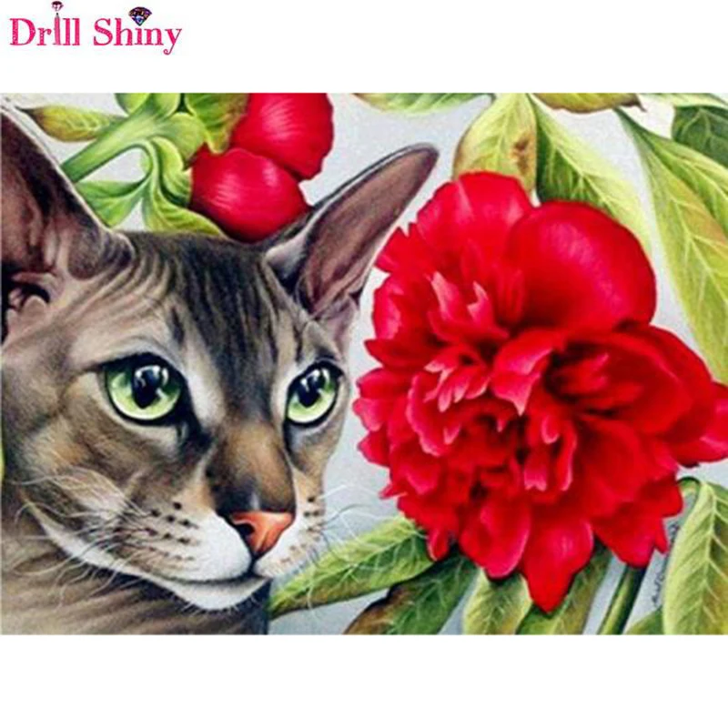 new Paint With Diamonds Animals Diamond Mosaic Cat Full Square/Round Drill 5D DIY Cross Stitch Flower Decoration Home gift r235 | Дом и сад
