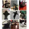 Pet Products