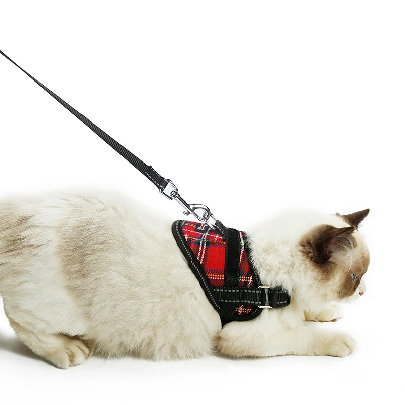 Harnesses-12-02