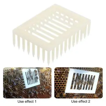 

5/6/10Pcs Beekeeping Tools Plastic Queen Marker Cage Clip Apiculture Bee Catcher Beekeeper Equipment Needle Type Queen Cage