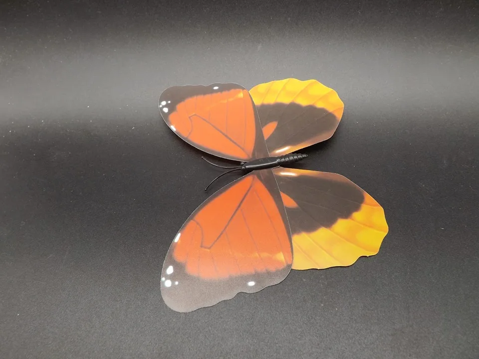 I227-Butterfly (6)
