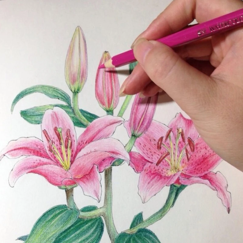 Faber Castell 72 Цвета жирной карандаши нетоксичные профессиональный набор цветных