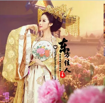 

Yinyingyanwu 2014 New Arrival Gorgeous Aesthetic Tang Costume Hanfu Stage Photography Clothes with Tail Singing Swallow