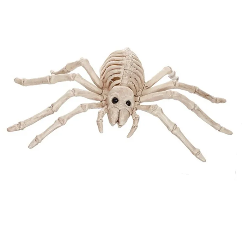 GA16005-spider skeleton