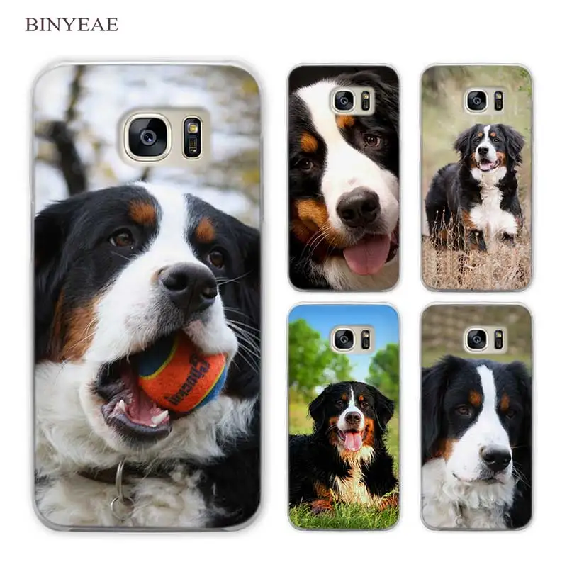 

BINYEAE Bernese Mountain Dog art Clear Phone Case Cover for Samsung Galaxy S3 S4 S5 Mini S6 S7 S8 Edge Plus