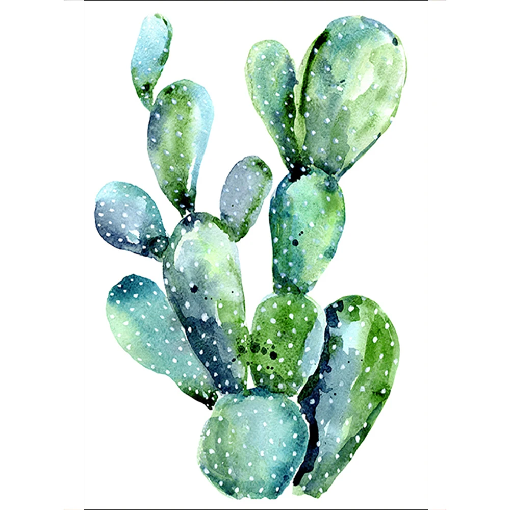 Cactus (3)