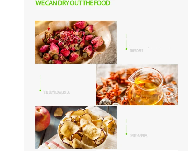 Машина для сушки фруктов, 5 слоев, сушилка для пищевых продуктов, 25л, кухонные аксессуары, Ручка управления для овощей/мяса/печенья, чая, еды для собак