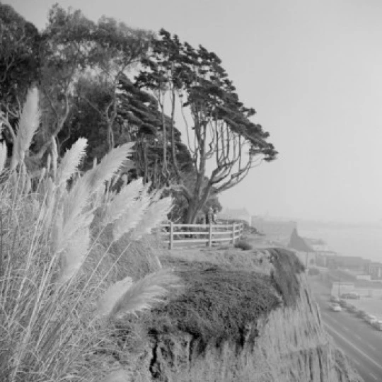 USA  California  Los Angeles  Wilshire Boulevard  Pacific Ocean seen from Miracle Mile Poster Print (18 x 24)