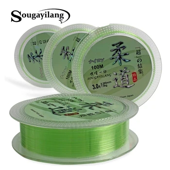 

100m Fluorocarbon Fishing Line 0.6#-7# Leader Wire Fishing Cord Accessories the Flurocarbone Winter Rope Fly Fishing Lines