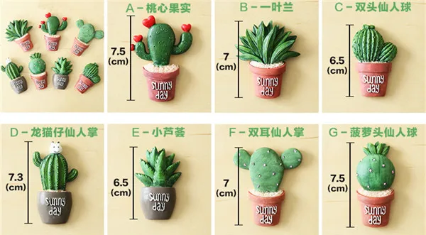 Cute Cactus Succulent Plants Fridge Magnets - 1