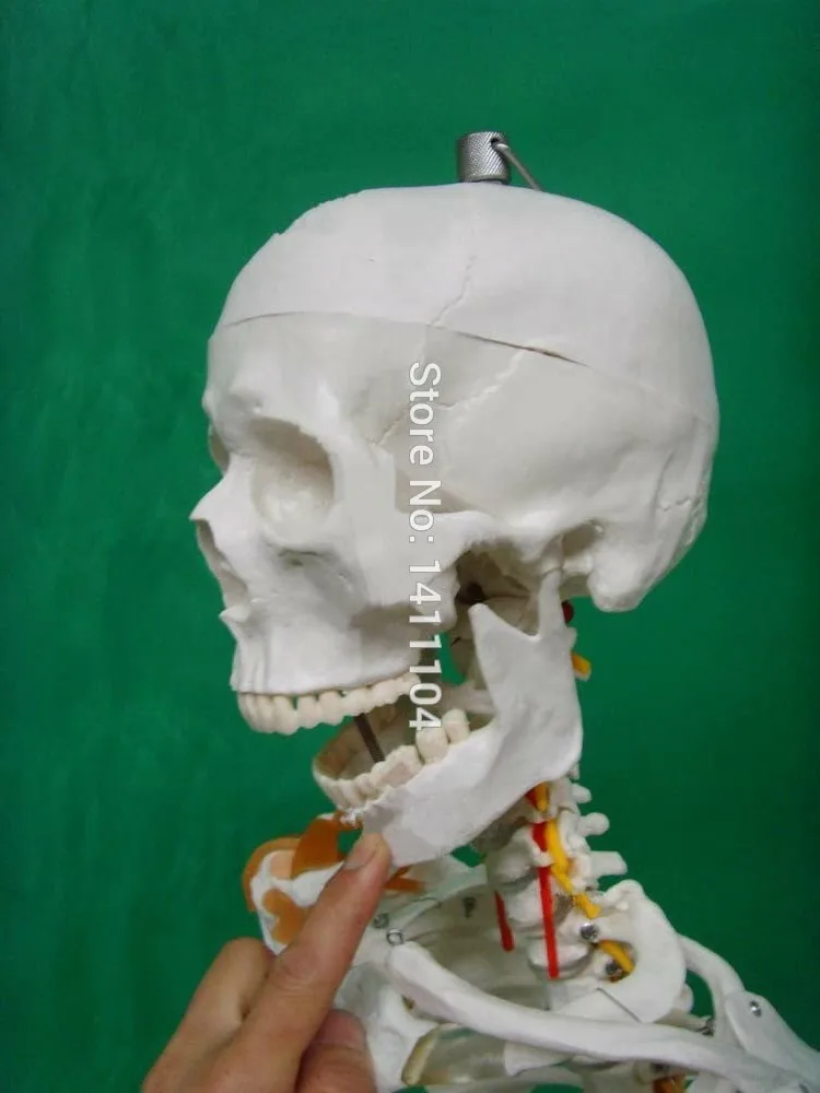 HTB1.95kJVXXXXXTXpXXq6xXFXXXU