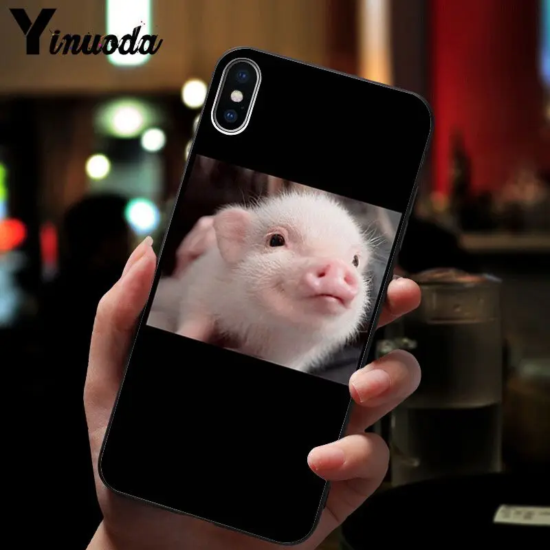 Cute Pig Print 