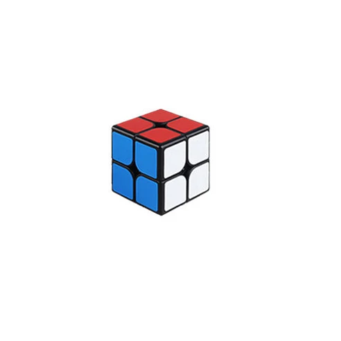 SHENGSHOU Mr. m, 2x2x2, 3x3x3, 4x4x4, 5*5*5 Магнитный Magic Cube Скорость головоломка 2x2/oneplus 3/OnePlus x 3 4x4 5x5 Magic Cube Развивающие magico Cubo игрушки подарки - Цвет: 2x2x2