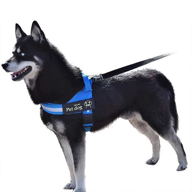Harnesses-16-05