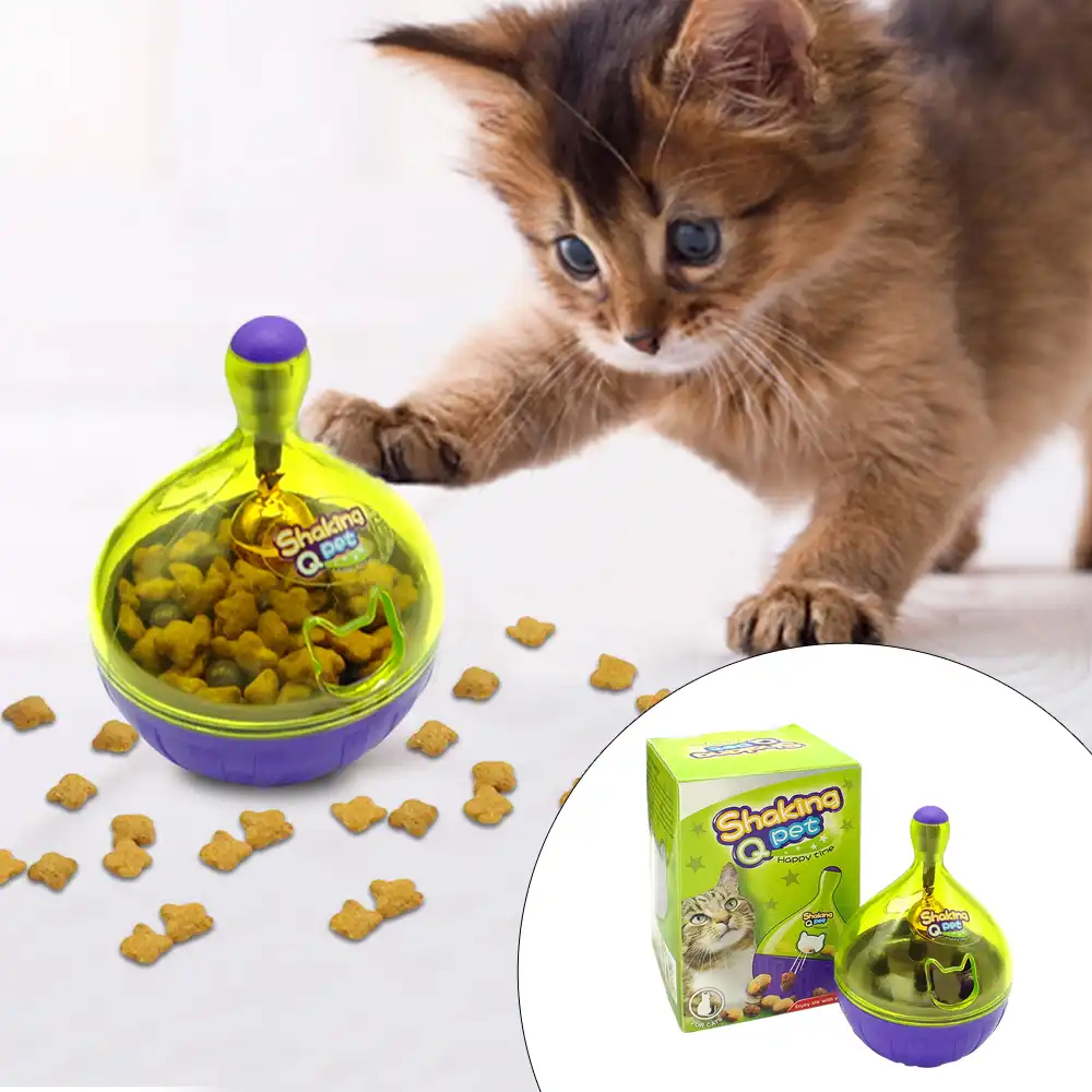chat interactif