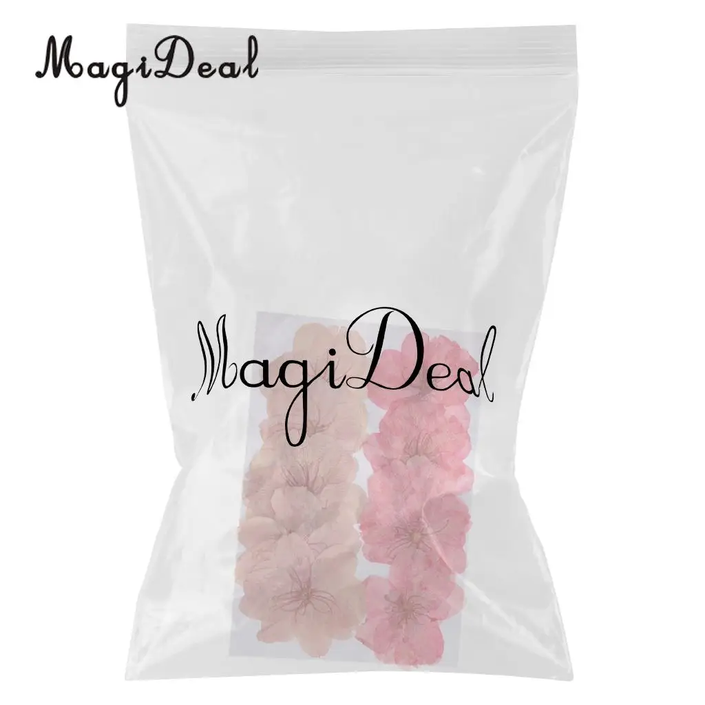 MagiDeal 10pcs Mixed Color Pressed Dried Sakura Flowers Cherry Blossom Art Craft Dried Flowers raft for House Decoration