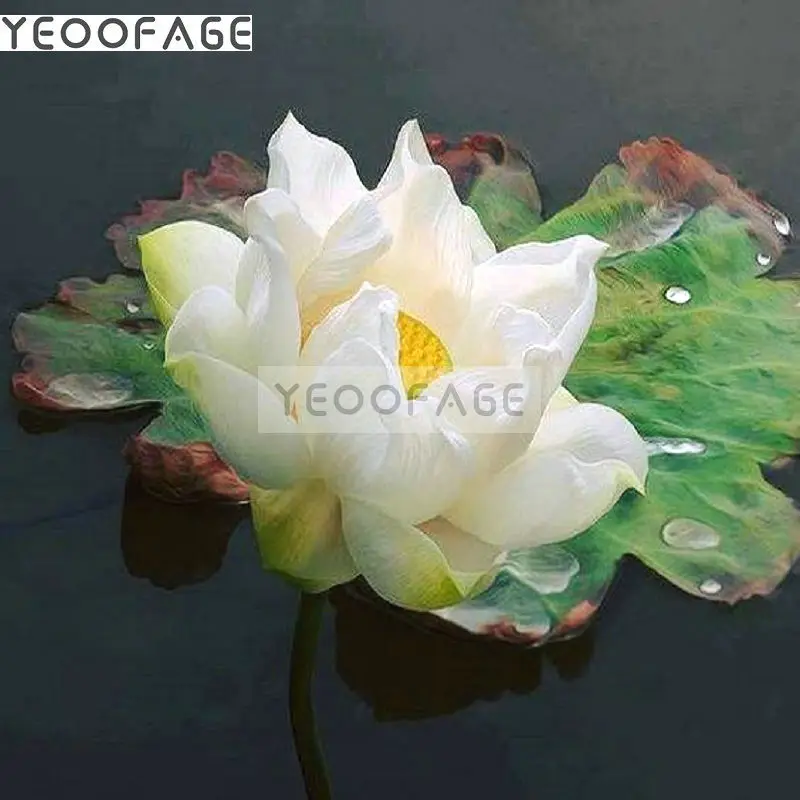 

DIY 5D diamond painting cross stitch flowers sticker full square or round Diamond mosaic crystal diamond embroidery white lotus