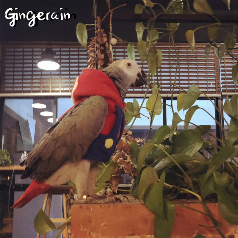 Gingerain одежда с птицами и попугаями оригинальная ручной работы свитер