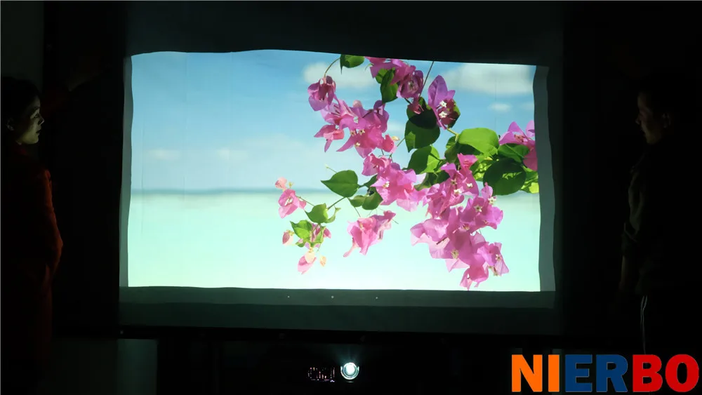 Projector Details