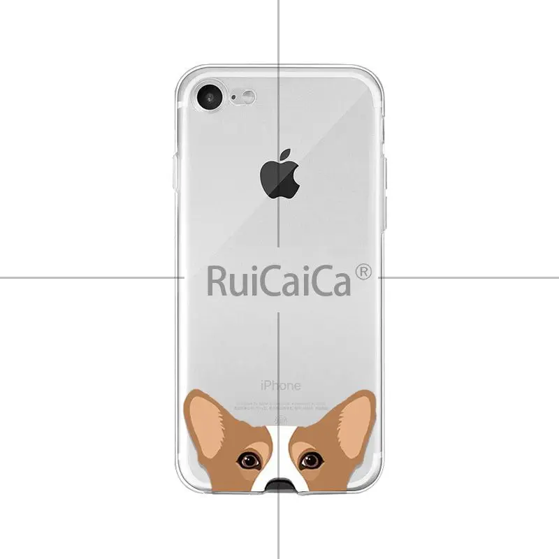 Cute and funny pet dog cat head