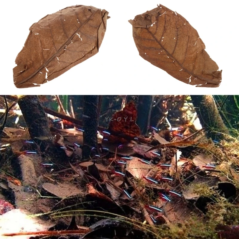 50 шт. натуральный катаппа листья миндаля листьев очистки рыб аквариум