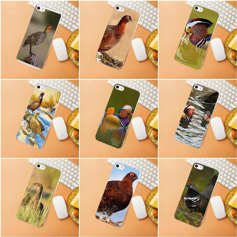 

TPU Capa Coque For Huawei G7 G8 Honor 5A 5C 5X 6 6X 7 8 V8 Mate 8 9 P7 P8 P9 P10 Lite Plus Animal Bird Mandarin Duck And Grouse