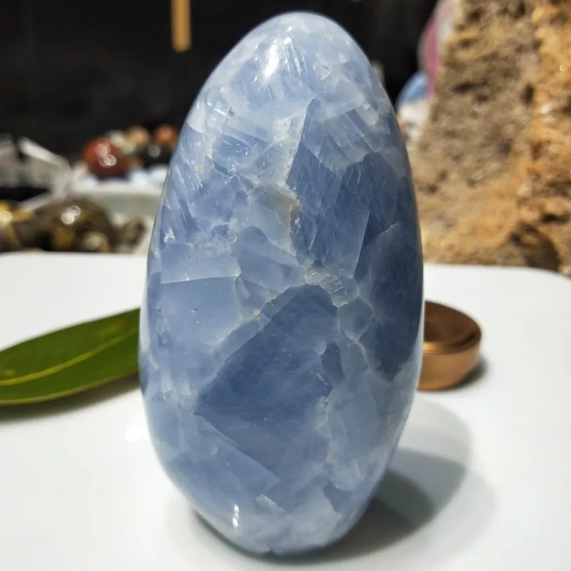 conew_img20190309152039