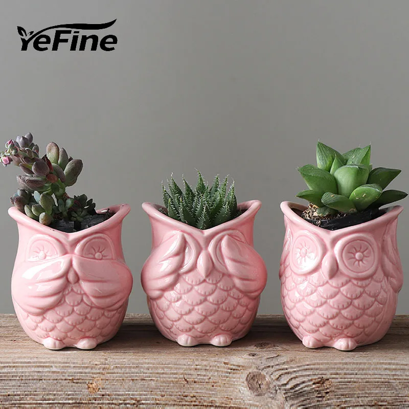Amedeverre Kaufen Gunstig Yefine Nette Eule Sukkulenten Bonsai