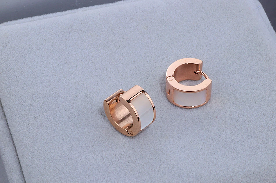 Роскошные классические брендовые ювелирные изделия круглые серьги-гвоздики цвета розового золота 316L серьги из нержавеющей стали для женщин женские подарки WX048