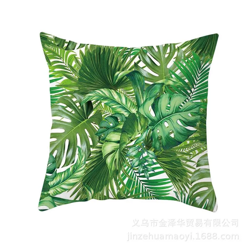 pillow case plant