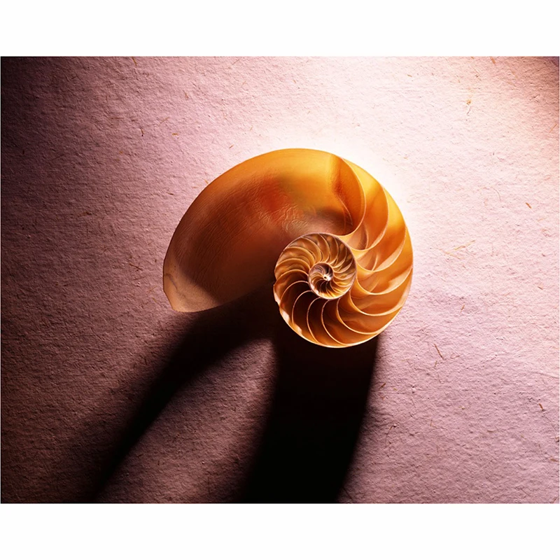 5D DIY Diamond Picture  Cross Embroidered Vase Diamond Embroidery snail  Diamond Mosaic Home Decorative 