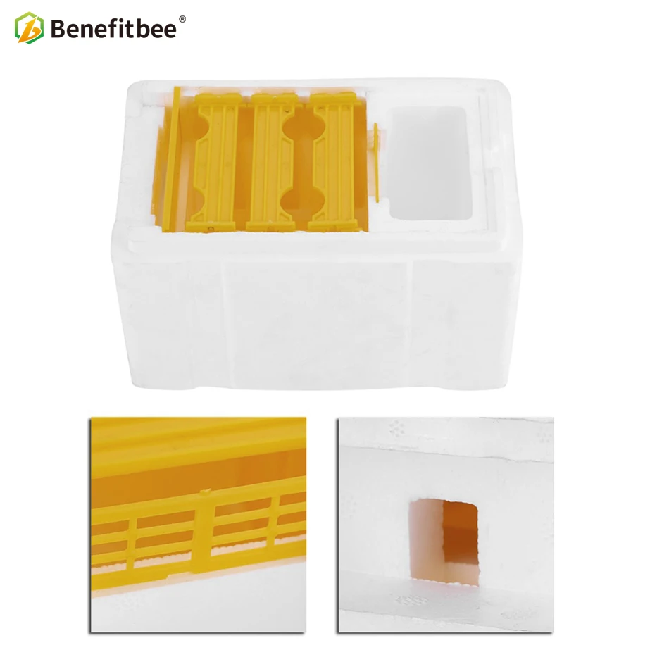 Benefitbee Hive Box Harvest Beehive Queen Pollination Beekeeping For Bee Mating Copulation Queen Reserve Beekeeping Tool pk wood Benefitbee Hive Box Harvest Beehive Queen Pollination Beekeeping For Bee Mating Copulation Queen Reserve Beekeeping Tool pk wood