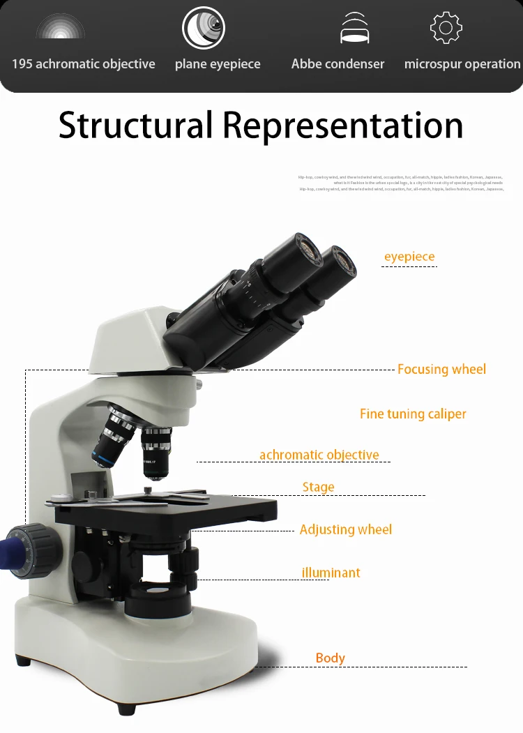 stereoscopic microscope (2)