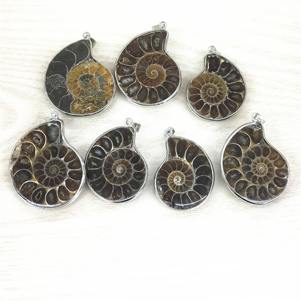

Wholesale 6pcs/lot Fashion Natural Stone Ammonite Snail Seashell Fossils Pendants for Jewelry Accessories Making Dropshipping