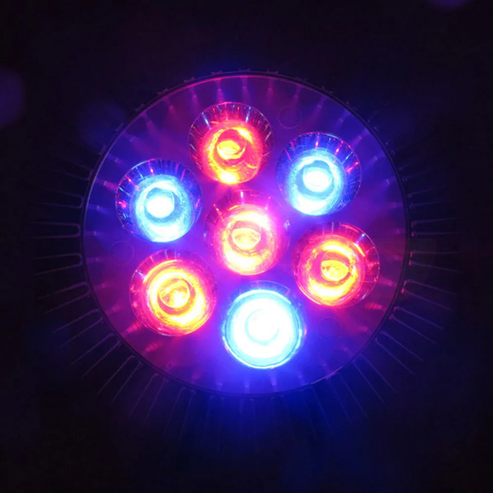 0264-4