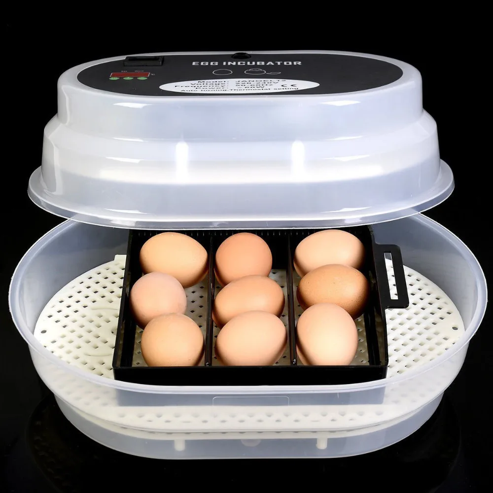 12 Eggs Automatic Egg Incubator Brooder Poultry Incubator Digital Automatic Turning Hatcher Terperature Control Poultry Hatch 12 Eggs Automatic Egg Incubator Brooder Poultry Incubator Digital Automatic Turning Hatcher Terperature Control Poultry Hatch
