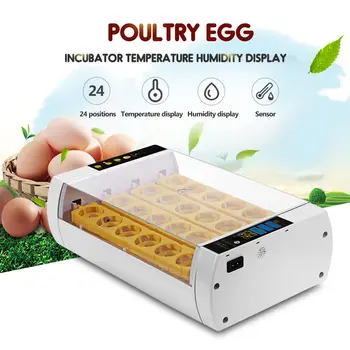 

24 Egg Poultry Incubator Digital Temperature Humidity Display Transparent Cover Duck Chicken Hatchery Poultry Incubation Machine