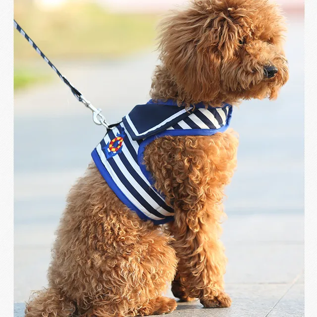 Outdoor Training Harness For Dogs Adjule Dog Runing Lead Long Outdoor Training Harness For Dogs Adjule Dog Runing Lead Long Ropes Roulette Leash Pet Supplies Chihuahua Mascotas