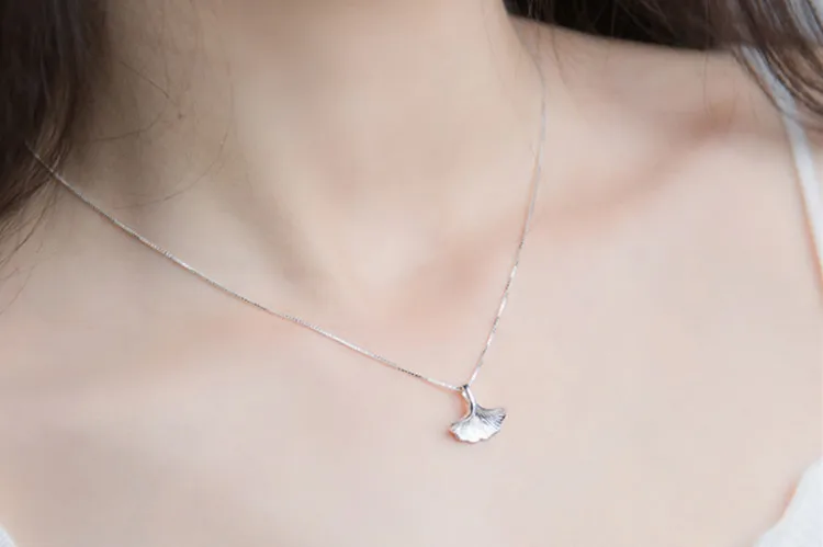 10141241439_1039125567