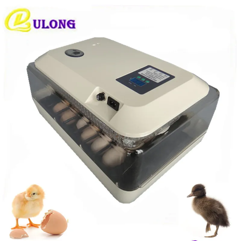 Best Price mini incubator electric digital temperature hatchery quail bird poultry tray eggs
