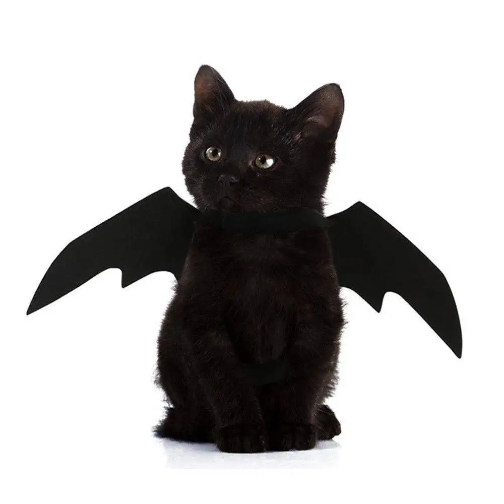 Новые крылья летучей мыши вампир черный милый Необычные наряды собака кошка Хэллоуин костюм подарок