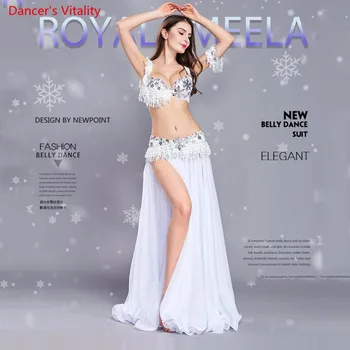 

Luxury Tassel Women's Suits Belly Dance India Dance Attire for Halloween Carnival 4 pieces. Bra Belt Belt Skirt Armbands