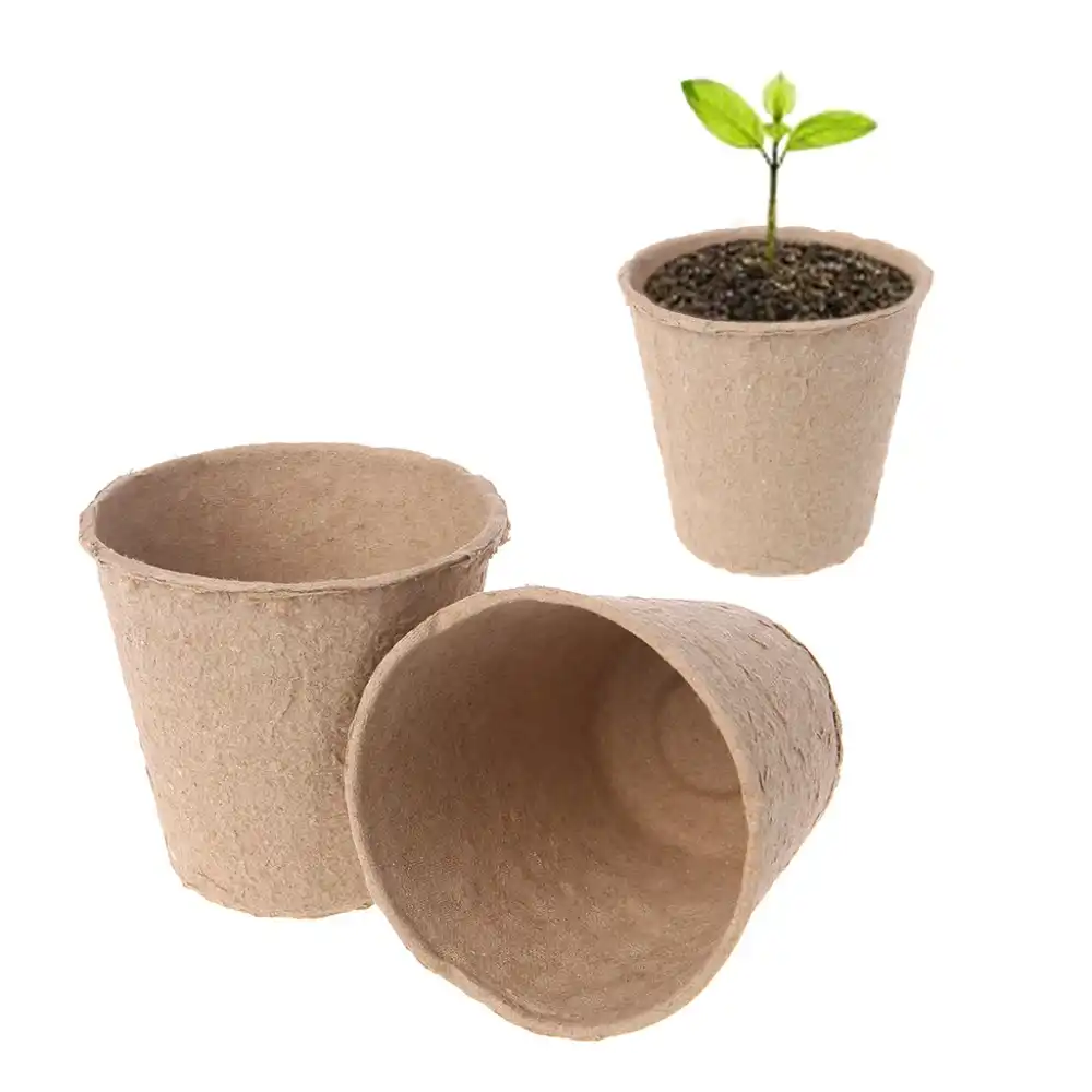 Biodegradable Pulp Containers Succulent Favor pots 10 set Peat Pots Organic Pots paper pulp round