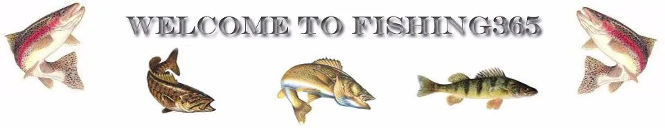 welcome to fishing365