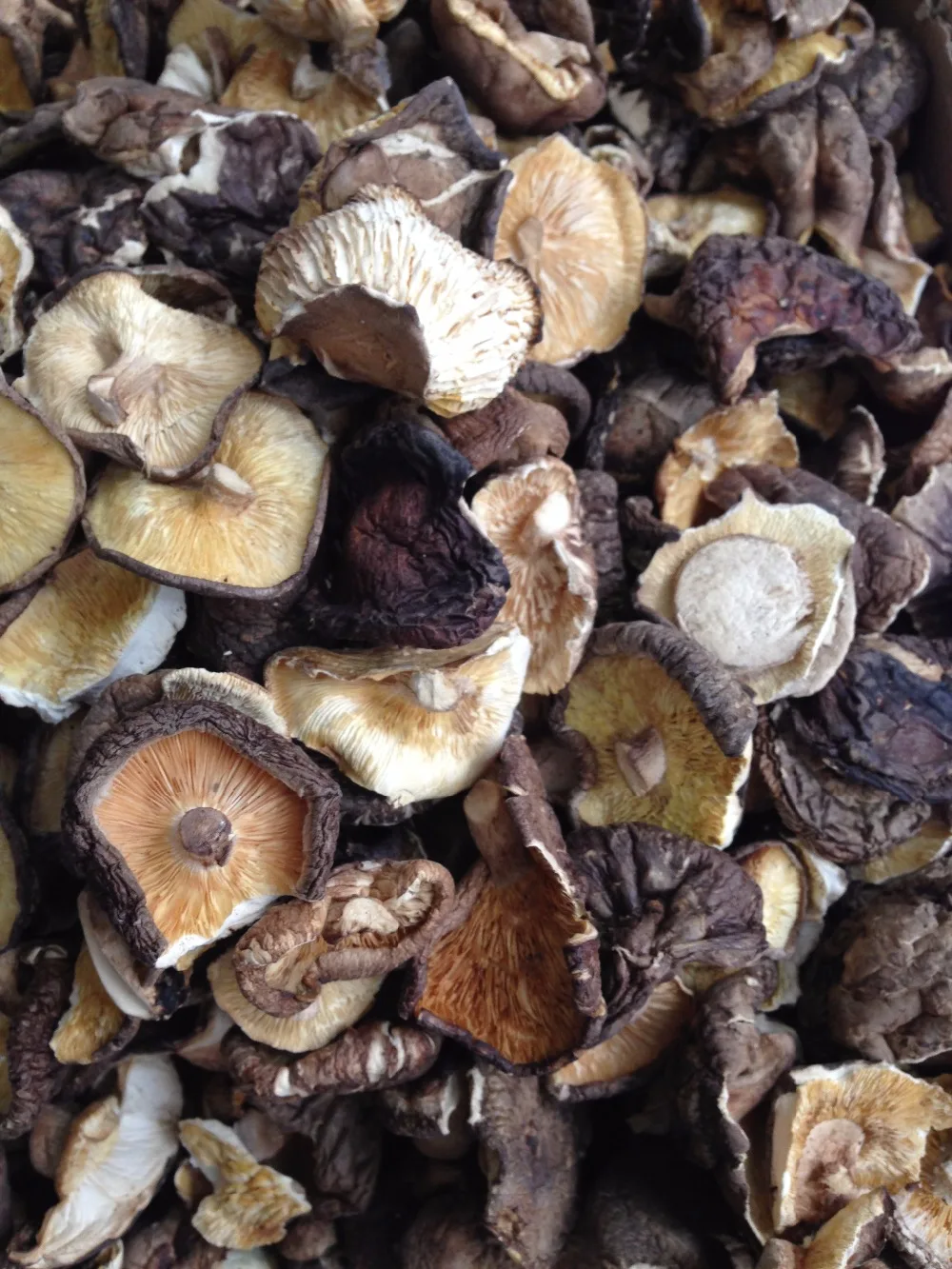 Japan Shiitake Mushroom Extract Powder Market : Complete Data Analysis 2024