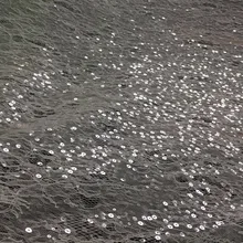 5 ярдов BZZ05# offwhite блесток французский хорошее качество тюль сетка кружевной ткани для свадьбы/вечернее платье/вечерние, компанией dhl