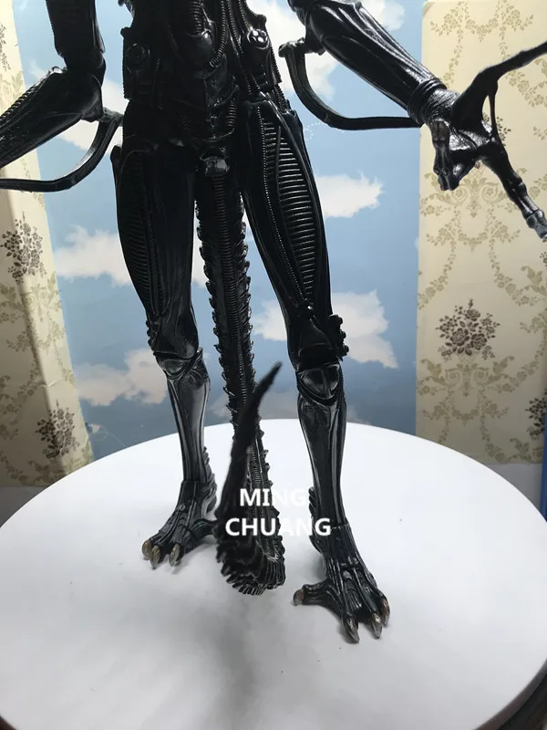 QQ20181209153524