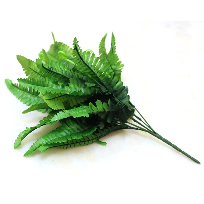 plant-2