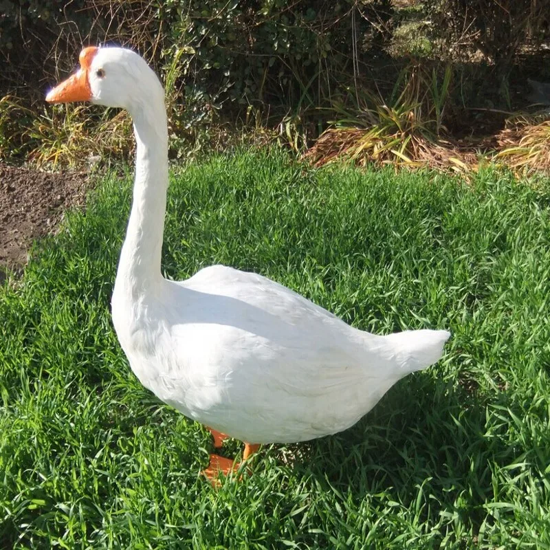 huge new creative simulation goose toy lifelike white goose doll decoration gift about 70*27*74cm huge creative simulation cow toy polyethylene
