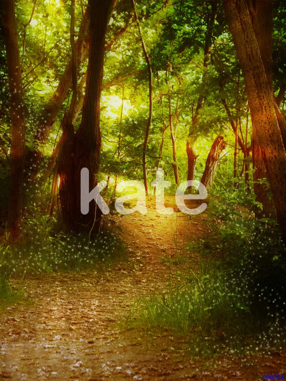 

easter background Sunshine forest path Kate background backdrop